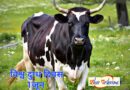 1जून: विश्व दुग्ध दिवस