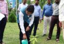 विश्व पर्यावरण दिवस पर उपायुक्त ने किया पौधारोपण,पर्यावरण संरक्षण का दिया संदेश